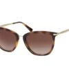 Ralph RA 5245 5003/13 Dark Havana