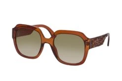 Longchamp LO 690S 200 Braun