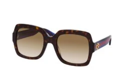 Gucci GG 0036SN 004 HAVANA-BLUE-BROWN