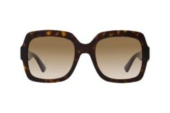 Gucci GG 0036SN 004 HAVANA-BLUE-BROWN 6 Gucci GG 0036SN 004 HAVANA-BLUE-BROWN -Polaley Boutique 6846957 d