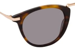 CO Optical Setllers 2135 R21 Havana / Gold -Polaley Boutique 6850200 f