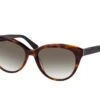 Calvin Klein CK 22520S 236 HAVANA/BLACK