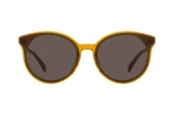 Illesteva Helen 4F Honey -Polaley Boutique 6854293 d