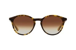 Calvin Klein CK 23510S 220 BROWN HAVANA -Polaley Boutique 7212384 d
