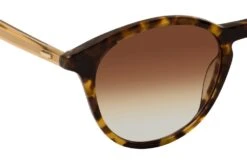 Calvin Klein CK 23510S 220 BROWN HAVANA -Polaley Boutique 7212384 f