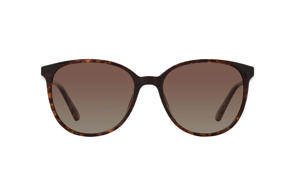 Ultralight Classics Liv Sun 2631 R23 Havana 3 Ultralight Classics Liv Sun 2631 R23 Havana – Image 3